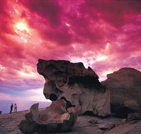 Kangaroo Island Adventure Tour 2 day/1 night - Accommodation QLD