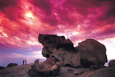 Kangaroo Island Adventure Tour 2 Day/1 Night - Accommodation QLD 0