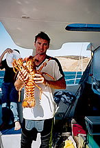 Temptation Sailing - Accommodation QLD 3