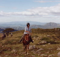 High Country Horses - Accommodation QLD