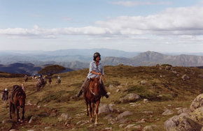 High Country Horses - Accommodation QLD 0