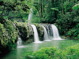 Hidden Valley Tours - Accommodation QLD 2