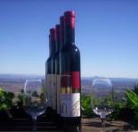 Mount Tamborine Winery  Homestead - Accommodation QLD