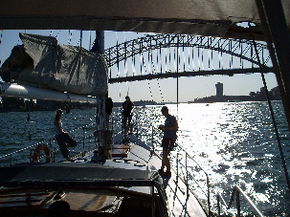 Kalypso Cruises - Accommodation QLD 2
