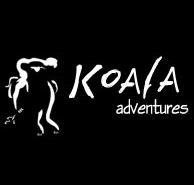 Koala Adventures - Accommodation QLD