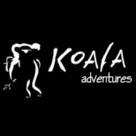 Koala Adventures - Accommodation QLD 0