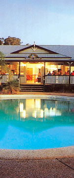 Koala Adventures - Accommodation QLD 2