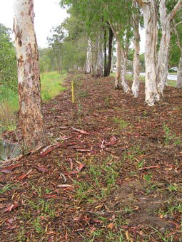 Kumbartcho Sanctuary - Accommodation QLD 1