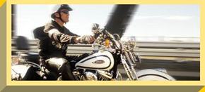 Easy Rider - Accommodation QLD 2