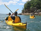 Sydney Harbour Kayaks - Accommodation QLD 1