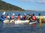 Sydney Harbour Kayaks - Accommodation QLD 2
