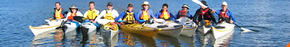 Sydney Harbour Kayaks - Accommodation QLD 3