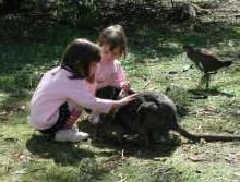 Urimbirra Wildlife Park - Accommodation QLD 1