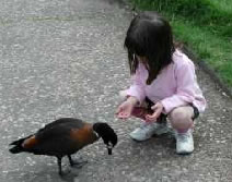 Urimbirra Wildlife Park - Accommodation QLD 3