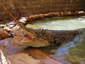 Accommodation QLD