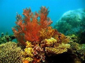  Accommodation QLD