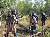 Adventure Out - Accommodation QLD 3