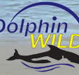 Dolphin Wild - Accommodation QLD