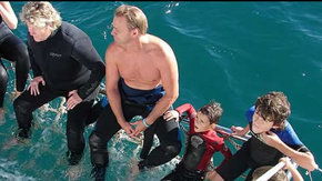 Dolphcom - Dolphin & Whale Swimming Adventures - Accommodation QLD 2