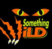 Something Wild - Accommodation QLD