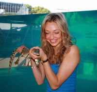 Crocosaurus Cove - Accommodation QLD