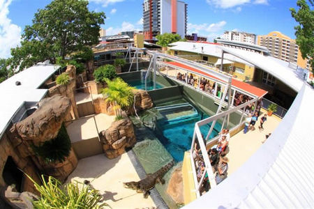 Crocosaurus Cove - Accommodation QLD 1