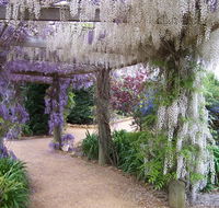 Abingdon Miniature Village - Accommodation QLD
