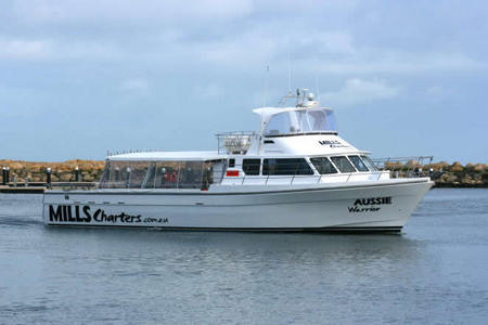 Mills Charters Fishing And Whale Watch Cruises - Accommodation QLD 1