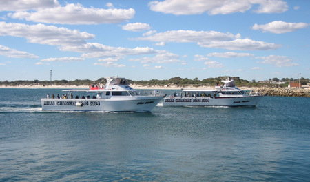 Mills Charters Fishing And Whale Watch Cruises - Accommodation QLD 2