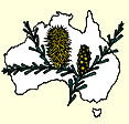 Australian National Botanic Gardens - Accommodation QLD