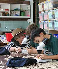 Australian National Botanic Gardens - Accommodation QLD 2