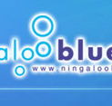 Ningaloo Blue Dive - Accommodation QLD