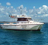 Sunshine Coast Fishing Charters - Accommodation QLD 1