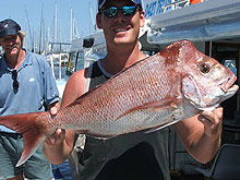 Sunshine Coast Fishing Charters - Accommodation QLD 2