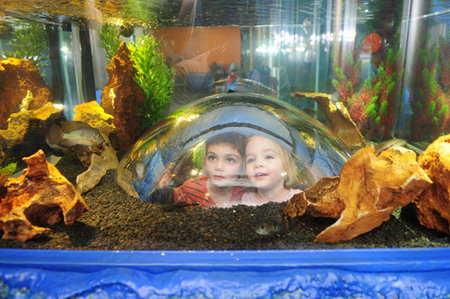 Scitech - Accommodation QLD 3