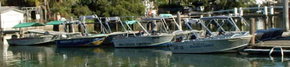 Brooklyn Central Boat Hire & General Store - Accommodation QLD 1