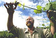 Tanunda SA Accommodation QLD