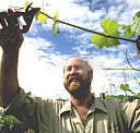 Barossa Experience Tours - Accommodation QLD