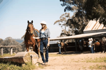 Watsons Trail Rides - Accommodation QLD