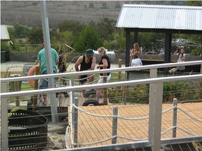  Accommodation QLD