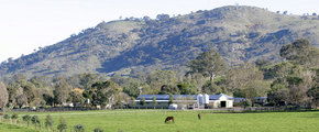 Blue Gum Farm - Accommodation QLD 1