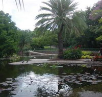 Brisbane City Botanic Gardens - Accommodation QLD