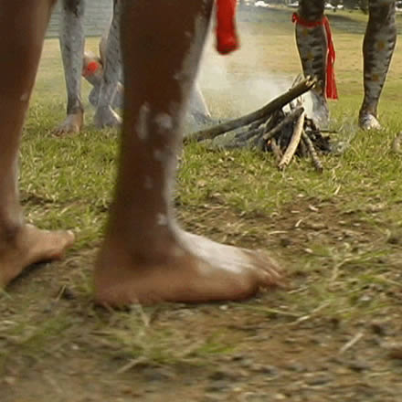 Musgrave Park Cultural Centre - Accommodation QLD 1