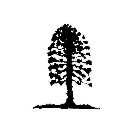 Musgrave Park Cultural Centre - Accommodation QLD 2