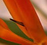 Zen Day Spa - Accommodation QLD