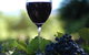 Lion Mill Vineyards - thumb 0