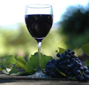 Lion Mill Vineyards - Accommodation QLD