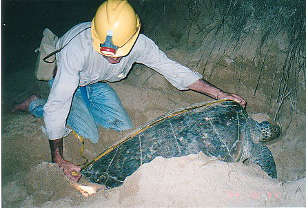 Footprints Adventures - Accommodation QLD 2