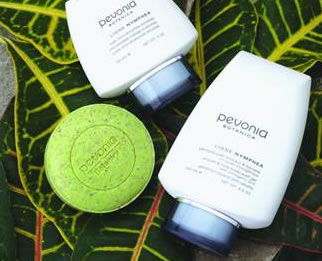 AQueous Spa - Accommodation QLD 1