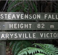 Stevensons Falls - Accommodation QLD